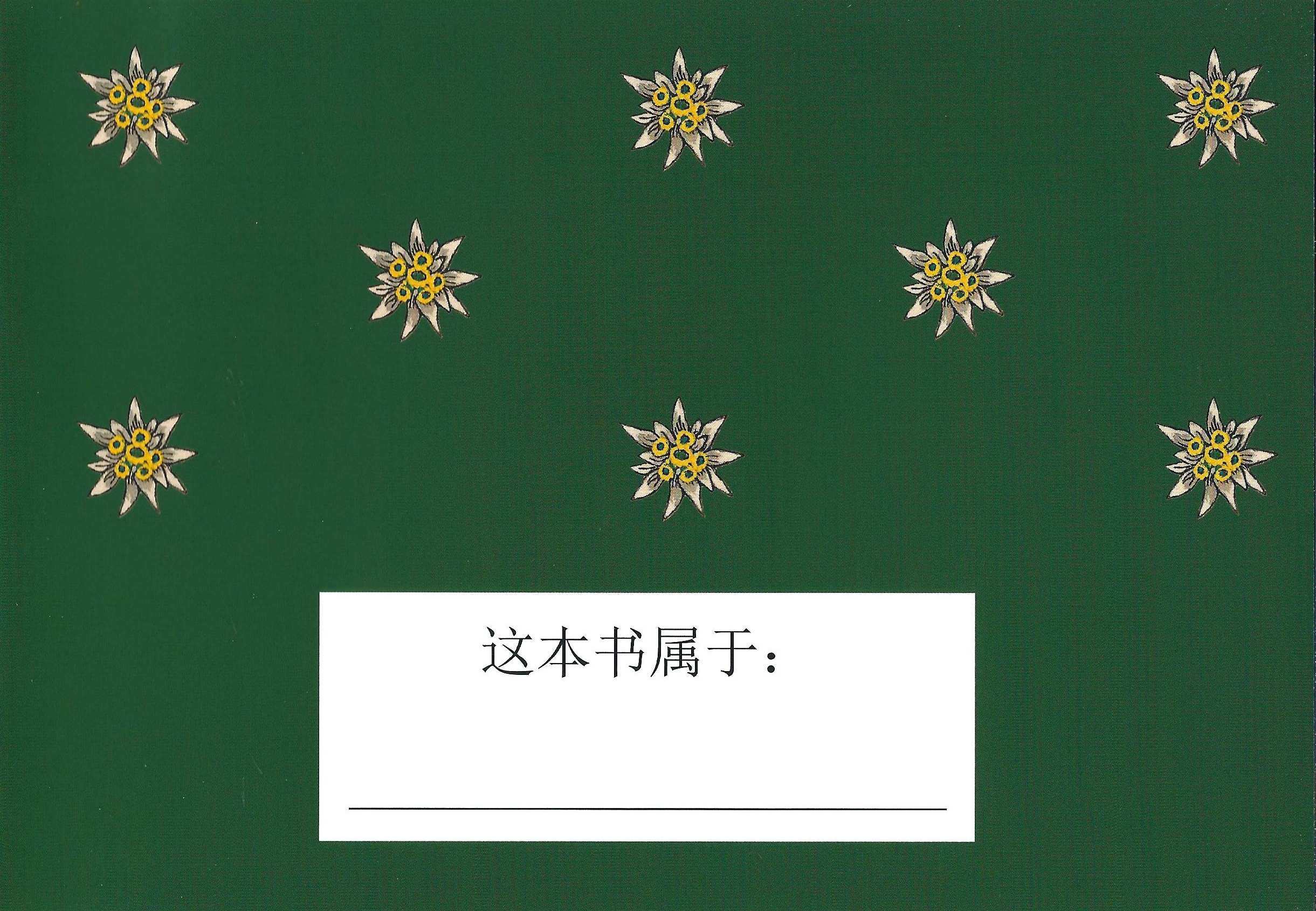 Sound of Music - Book - The singing family of Salzburg